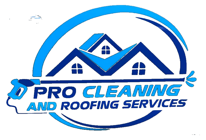 Pro Cleaning and Roofing Services 